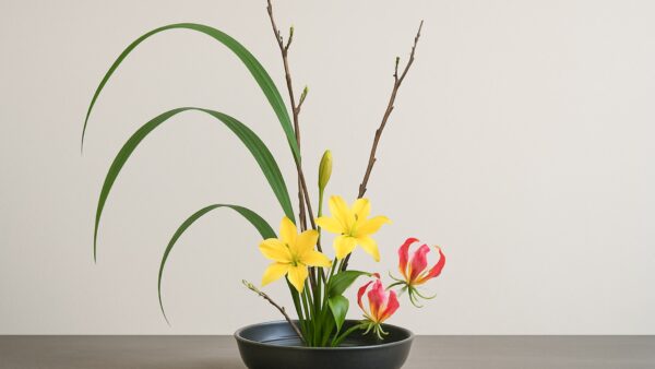 【体験談】自分でいけた花を、自分で撮る喜び。いけばながくれた、新しい視点